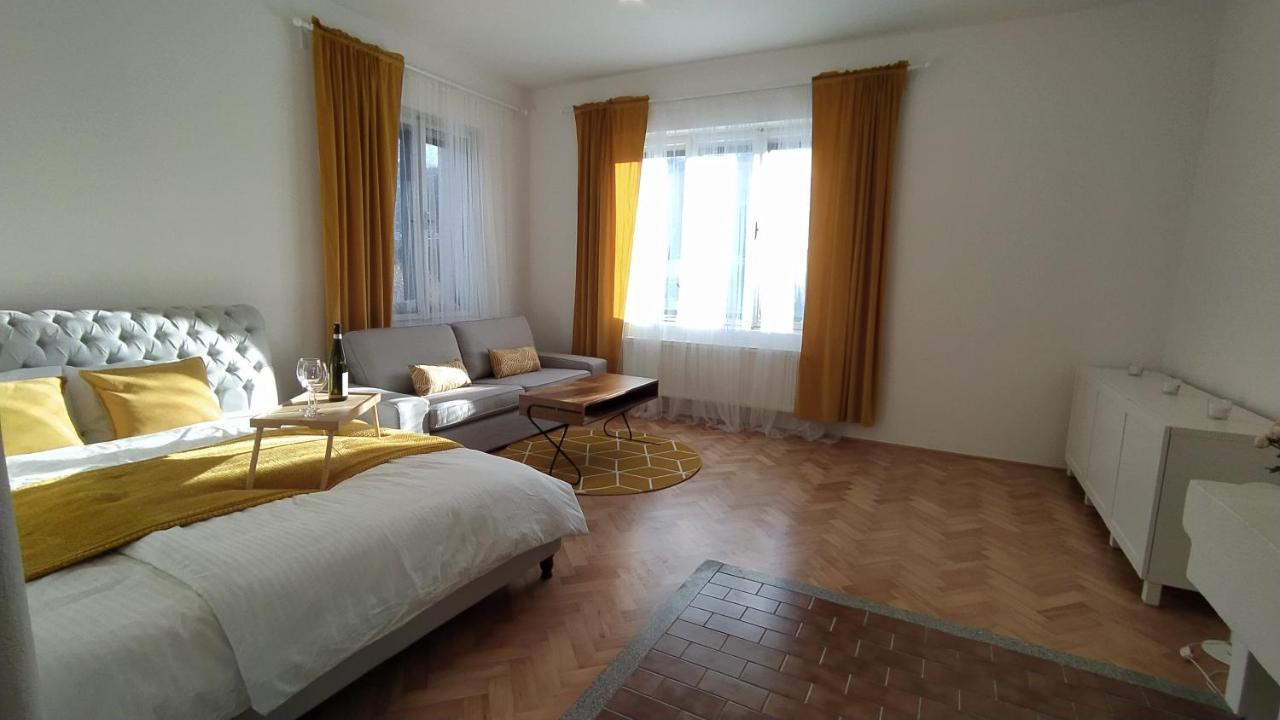 Vila Sik Nove Mesto na Morave Buitenkant foto