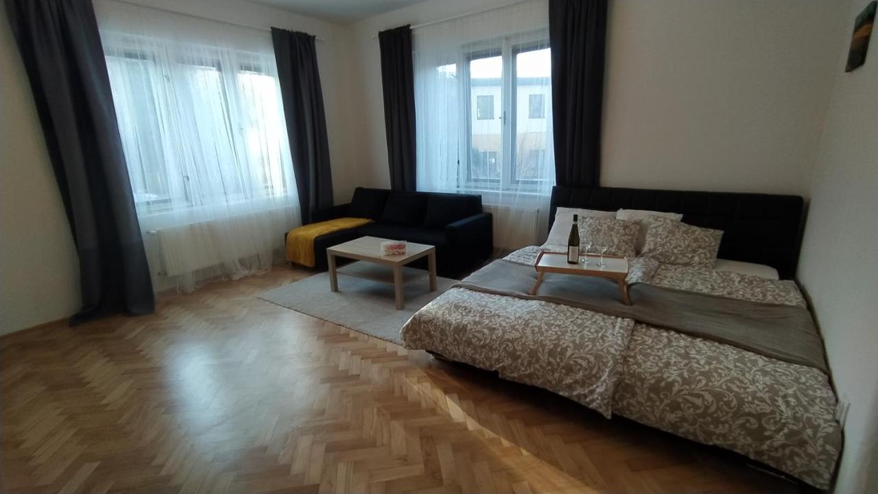 Vila Sik Nove Mesto na Morave Buitenkant foto